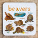 Beavers Animal Coaster