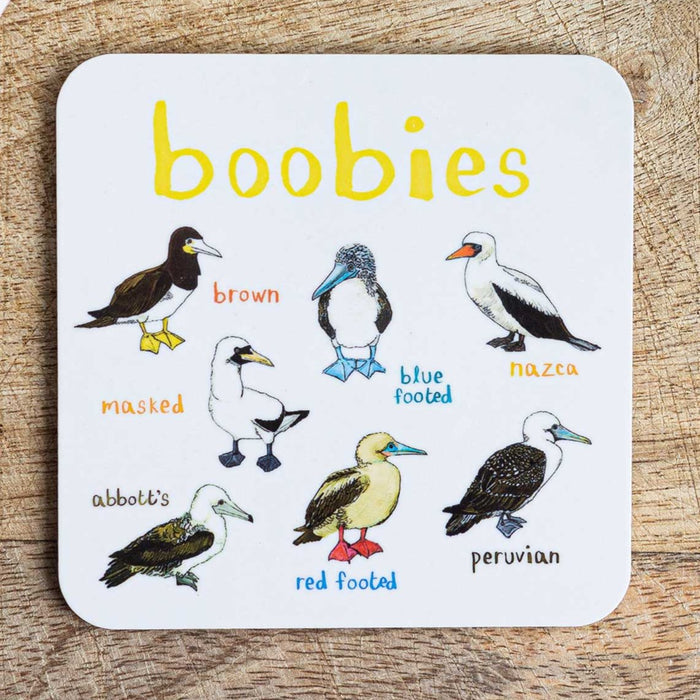 Boobies Fowl Bird Coaster