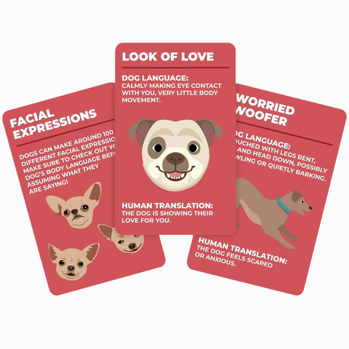 How To Speak Dog - Educational Flash Cards