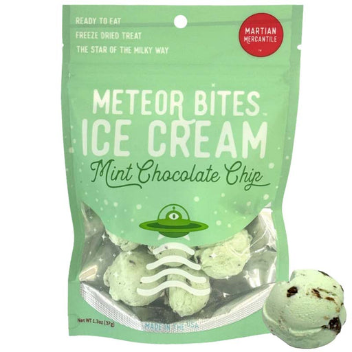 Meteor Bites Mint Chocolate Chip Astronaut Ice Cream