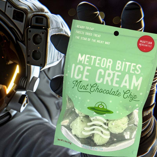 Meteor Bites Mint Chocolate Chip Astronaut Ice Cream