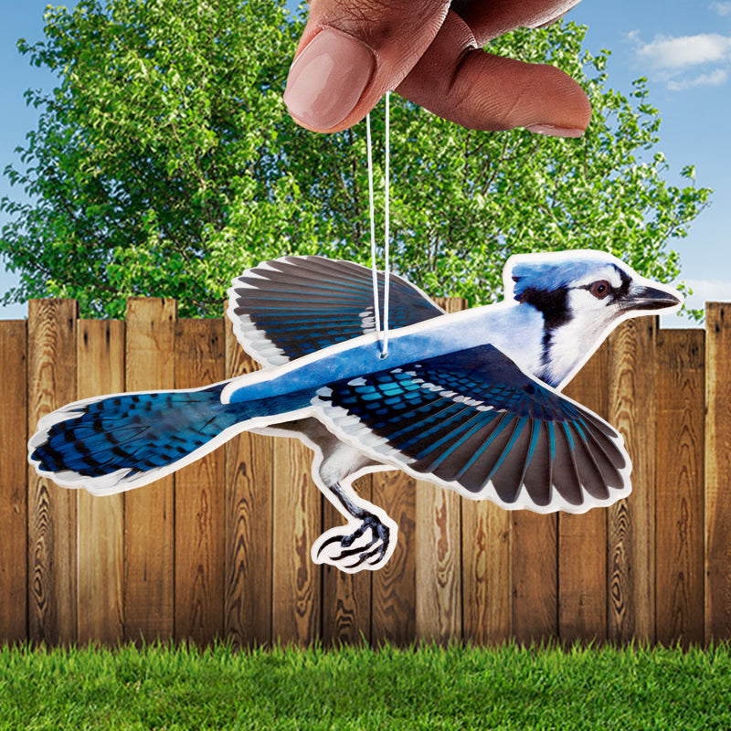 3D Blue Jay Air Freshener - Unique Gifts - Archie McPhee — Perpetual Kid
