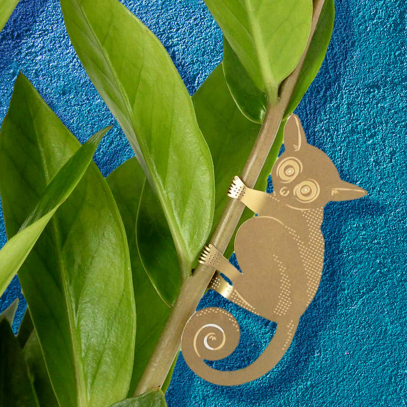 Bush Baby Plant Ornament - Unique Gifts - Another Studio for