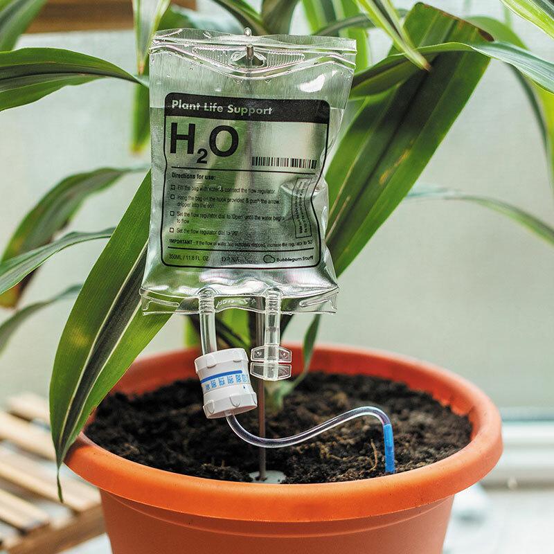 Face Plant Planter + Eyeglass Holder - Unique Gifts - 30 Watt