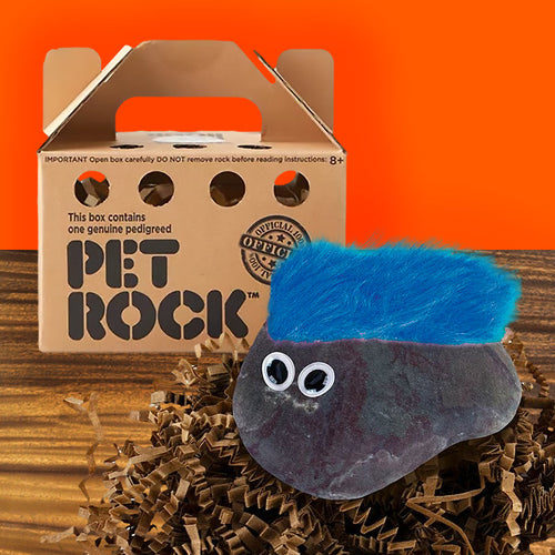  Super Impulse The Original Pet Rock - Contains One Officially  Pedigreed Pet Rock : Pet Supplies