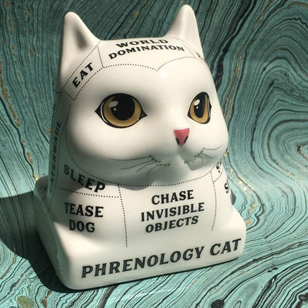 RP Minis: Phrenology Cat – Bel-Rea Institute of Animal Technology