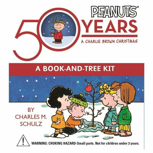 Peanuts: Be My Valentine, Charlie Brown Coloring Kit by Charles M