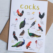 Cocks Dirty Bird Pun Greeting Card