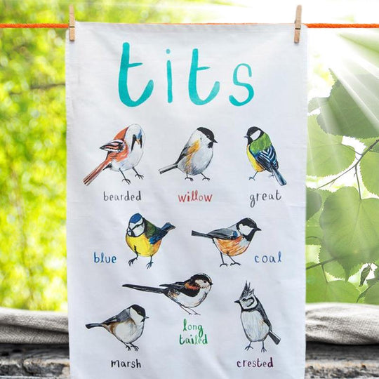 British tits - a painting of all 9 species of tits