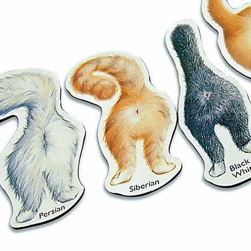 Cat Butts Magnetic Mini Kit