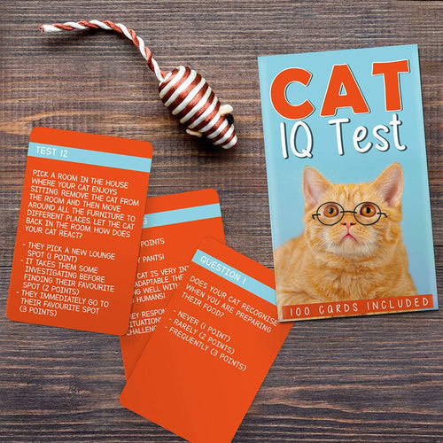 https://www.perpetualkid.com/cdn/shop/products/unique-gift-cat-iq-test-2_500x.jpg?v=1700216582