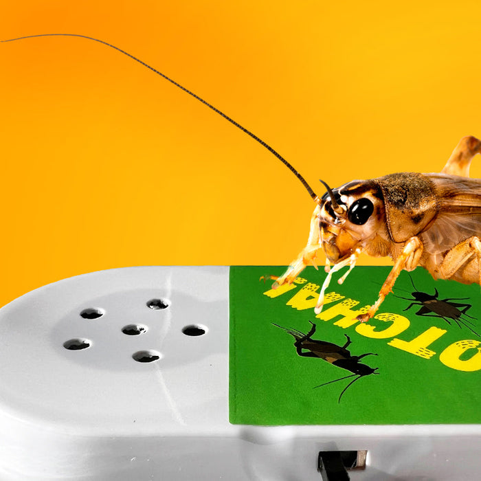 Hide A Bug Cricket Noise Maker Prank - Unique Gifts - Exclusive ...