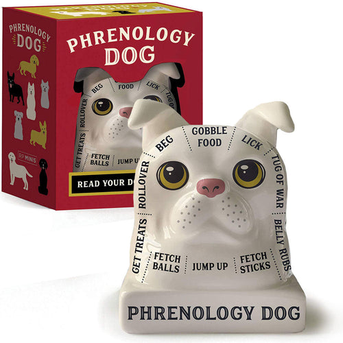 https://www.perpetualkid.com/cdn/shop/products/unique-gift-phrenology-dog-bust-read-your-dogs-mind-2_500x.jpg?v=1700103542